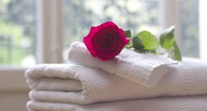 Luxury Fresh Towel